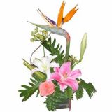 ͼʻٵ
